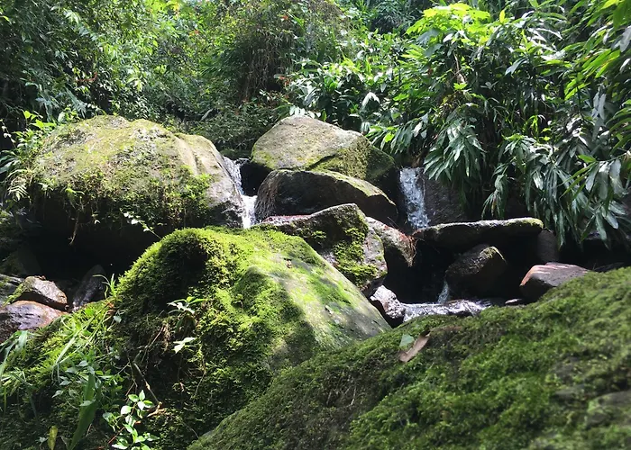 Alejandria, Reserva Natural Y Las 7 Cascadas