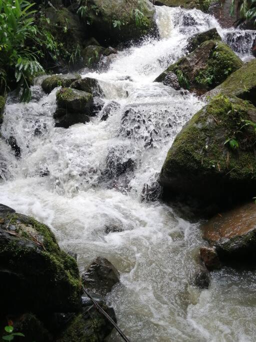 Holiday home Alejandria, Reserva Natural Y 7 Cascadas La Vega (Cundinamarca)