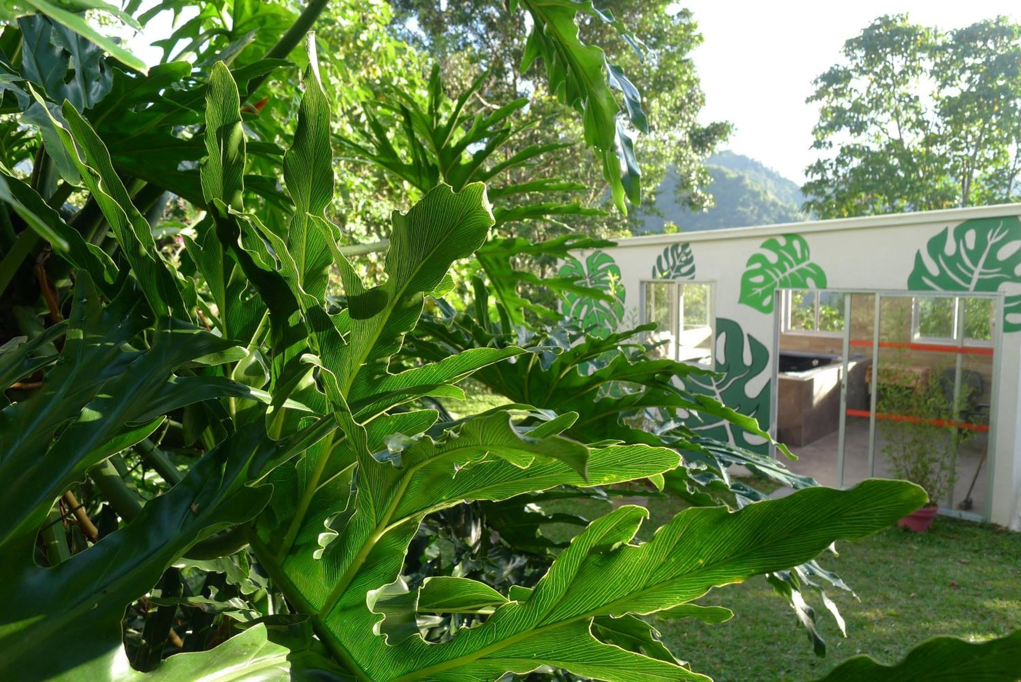 Alejandria, Reserva Natural Y 7 Cascadas * La Vega (Cundinamarca)