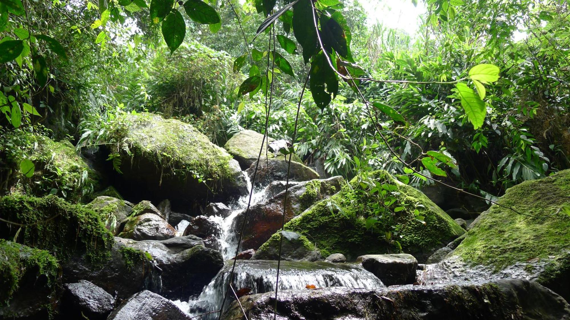 Alejandria, Reserva Natural Y 7 Cascadas La Vega (Cundinamarca)