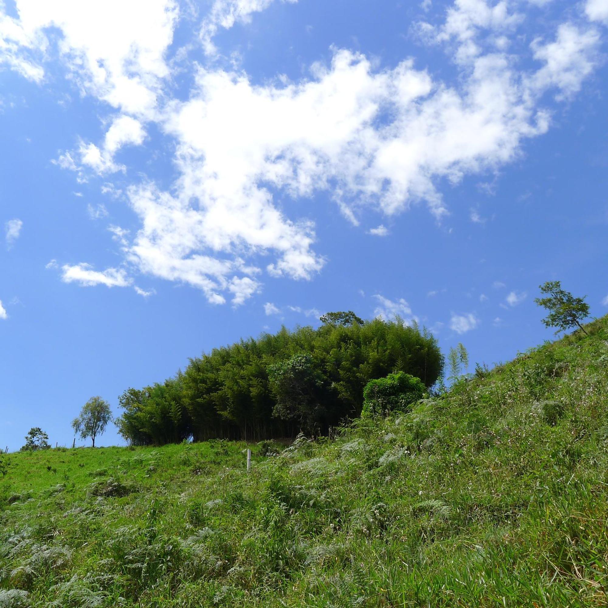 Alejandria, Reserva Natural Y 7 Cascadas La Vega (Cundinamarca)